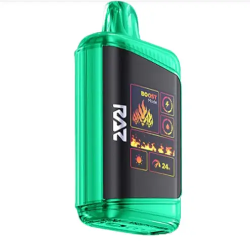 RAZ Vape DC25000 Disposable Vape WINTERGREEN