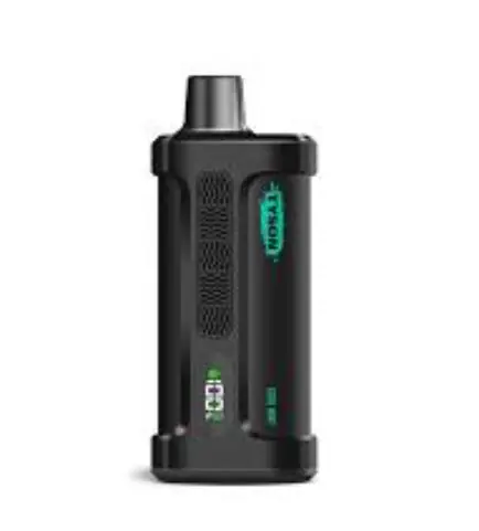TYSON 2.0 IRON MIKE 15,000 HITS DISPOSABLE VAPE – COOL MINT – Mike Tyson Vapes